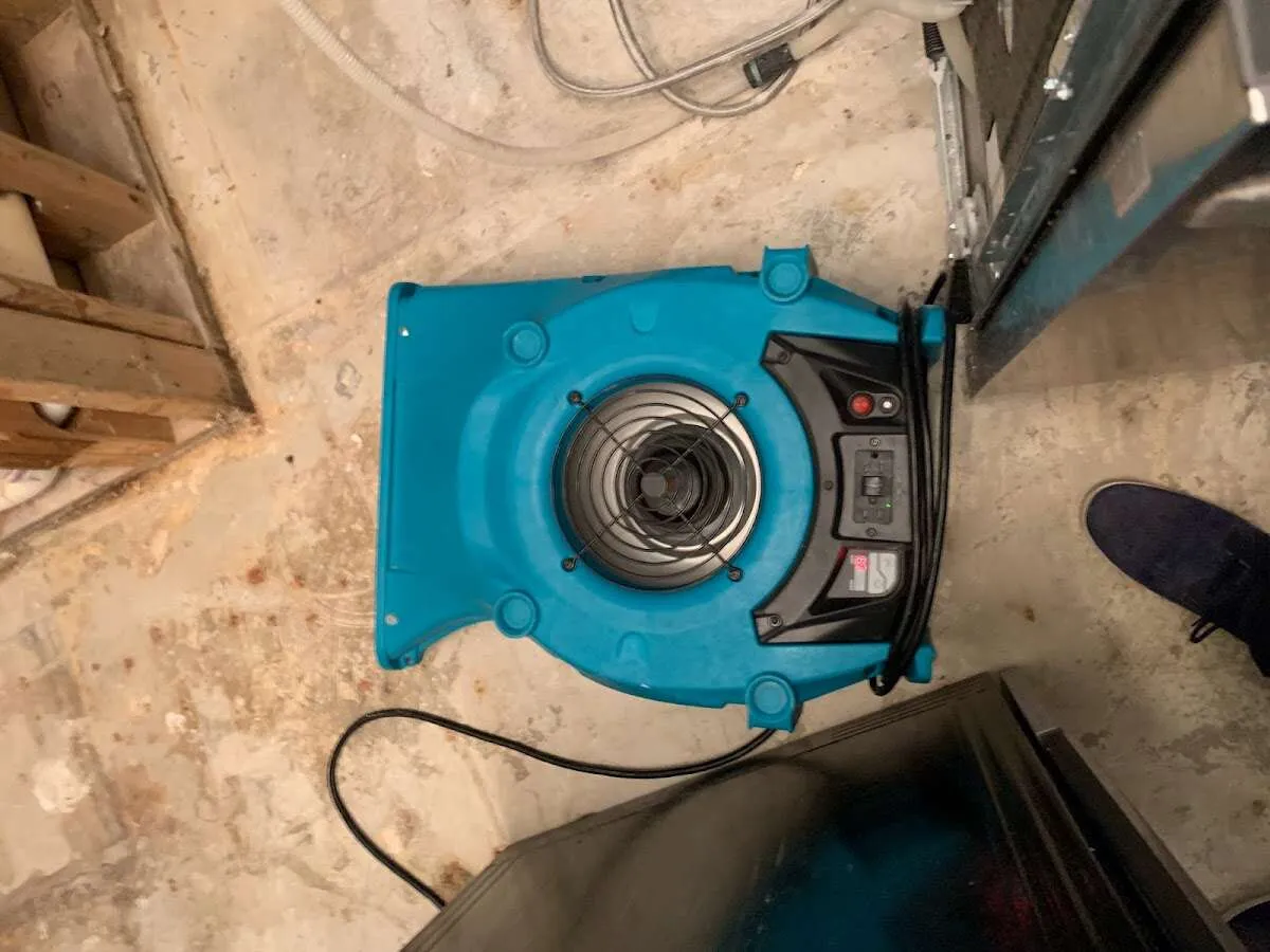Air mover drying equipment for Mold Remediation & Removal in Inwood