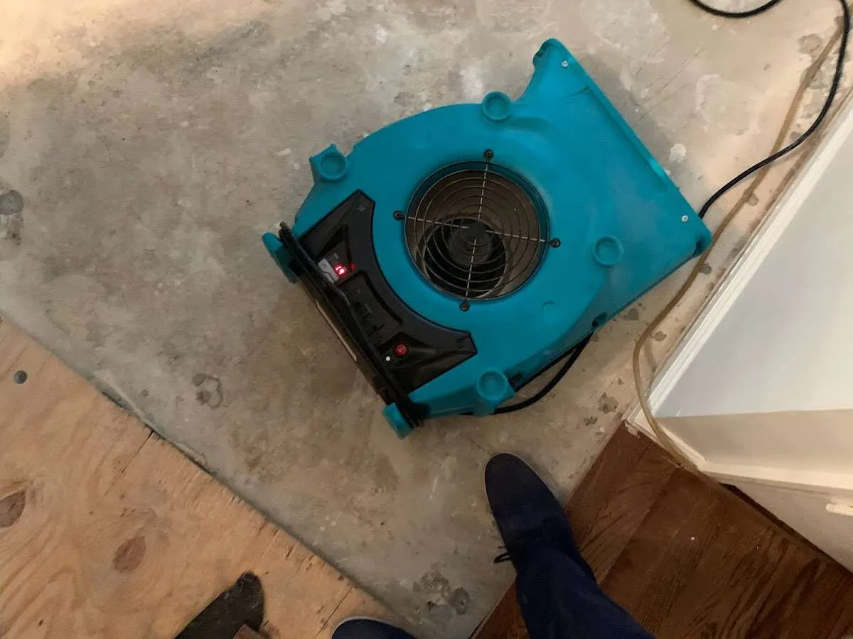 Air mover drying subfloor during Commercial Water Damage Restoration in Inwood